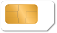 Standard SIM